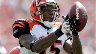 Bengals WR Chris Henry Dies After Falling Out Of Pickup Bed
